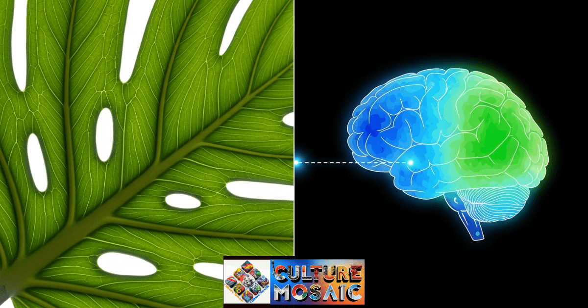 How to Create a Biophilic Home