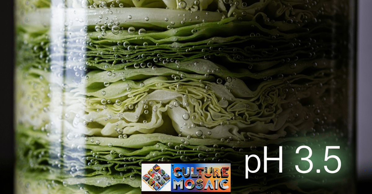 Macro view of fermentation bubbles in a jar with a pH 3.5 indicator showing a safe acidic environment.