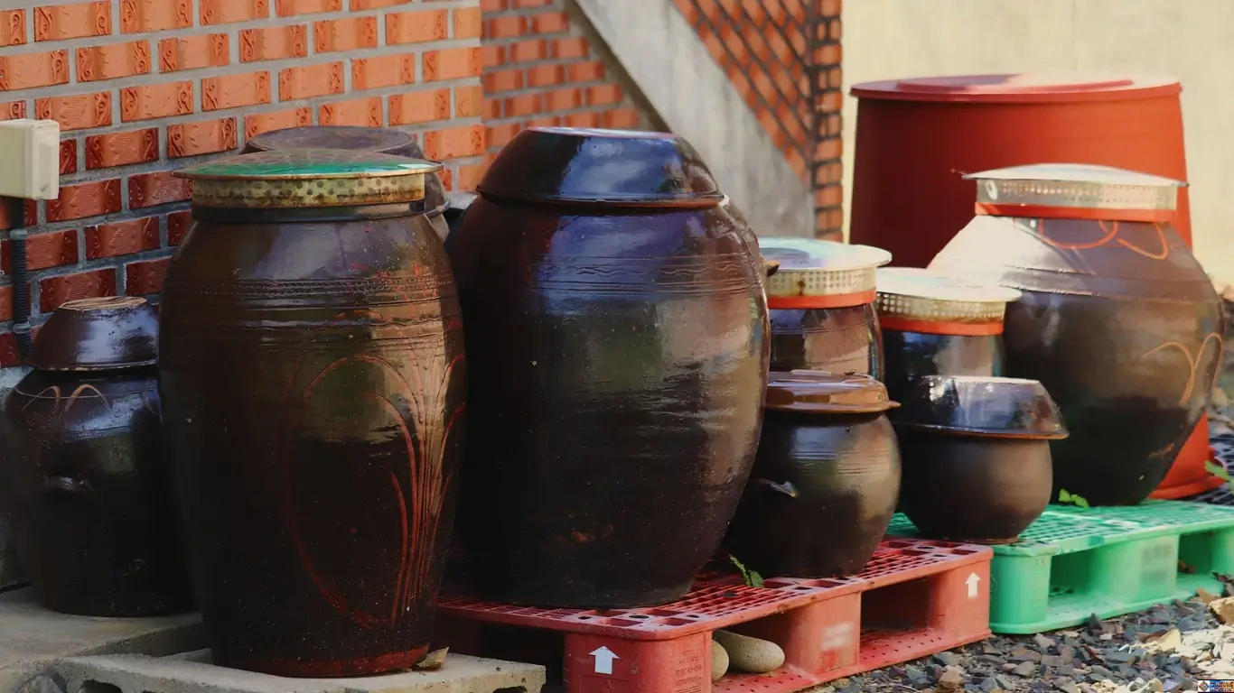 Traditional Korean Onggi earthenware pots used in ancestral fermentation rituals for safe wild preservation.